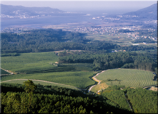 Landschaft in Rias Baixas